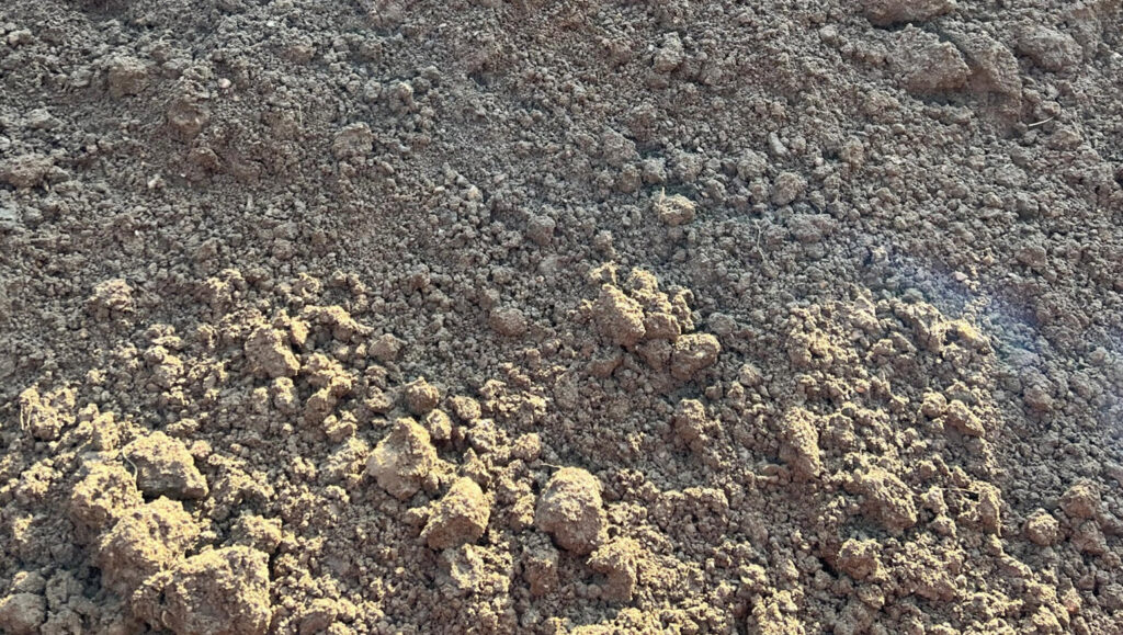 Close-up of 10mm screened soil in Runfold, Surrey, showing loose, dry earth with small clumps and stones under sunlight.