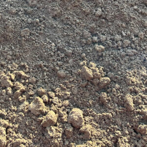 Close-up of 10mm screened soil in Runfold, Surrey, showing loose, dry earth with small clumps and stones under sunlight.